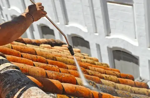 Nettoyage de toitures - Igé